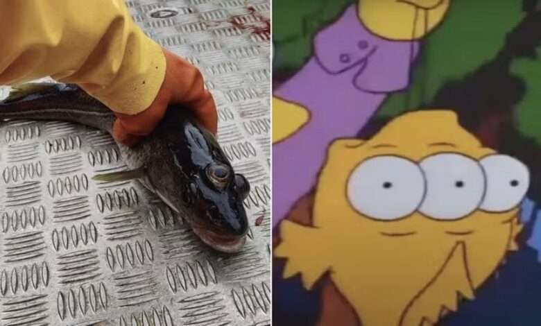 Simpsons Se Confirma De Novo Peixe De Três Olhos É Fisgado